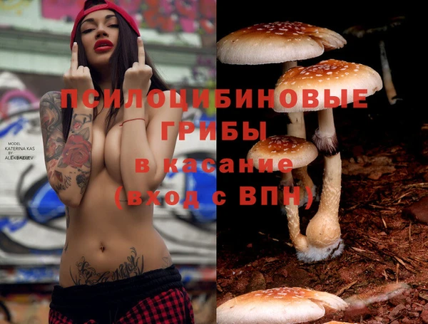 прущие крисы Бородино