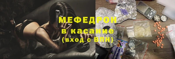индика Козловка