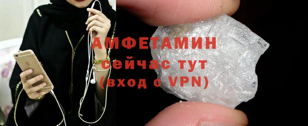 стаф Богданович
