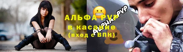 прущие крисы Бородино