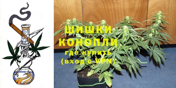 spice Богородск