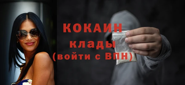 spice Богородск