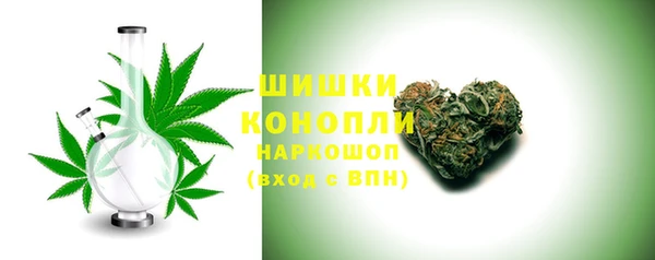 spice Богородск