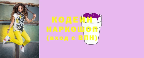 прущие крисы Бородино