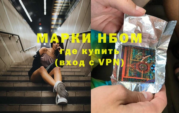прущие крисы Бородино