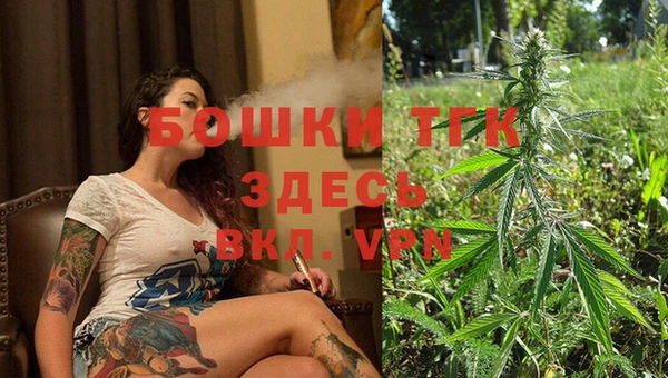 прущие крисы Бородино