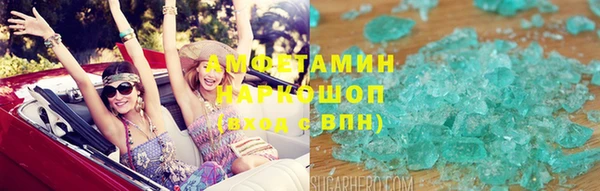 стаф Богданович