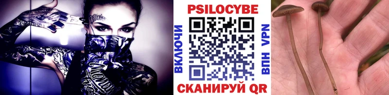 Галлюциногенные грибы прущие грибы  Курчатов 